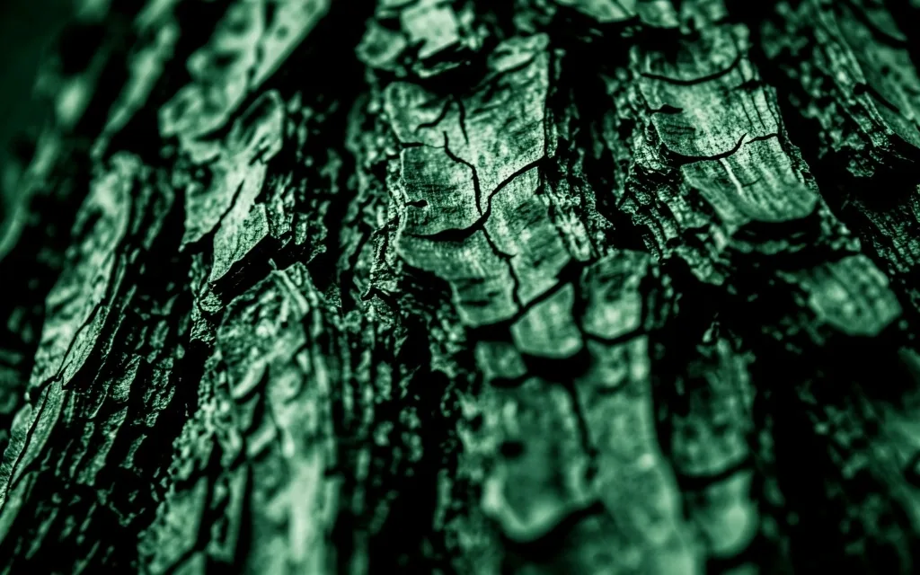Dark botanical bark macro photography