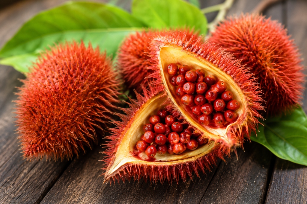 Annatto red botanical pod free of synthetic dyes